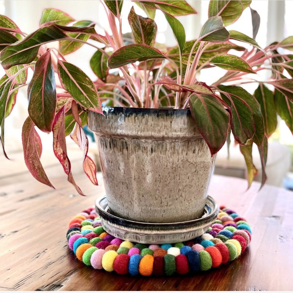 Wool Trivet Hand Made With Love By Women Of Napal